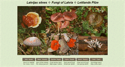 Desktop Screenshot of fungi.lv