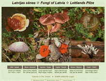 Tablet Screenshot of fungi.lv